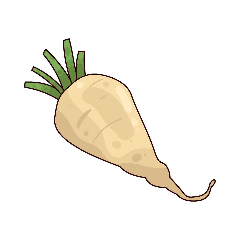 illustration of Fresh Horseradish vector