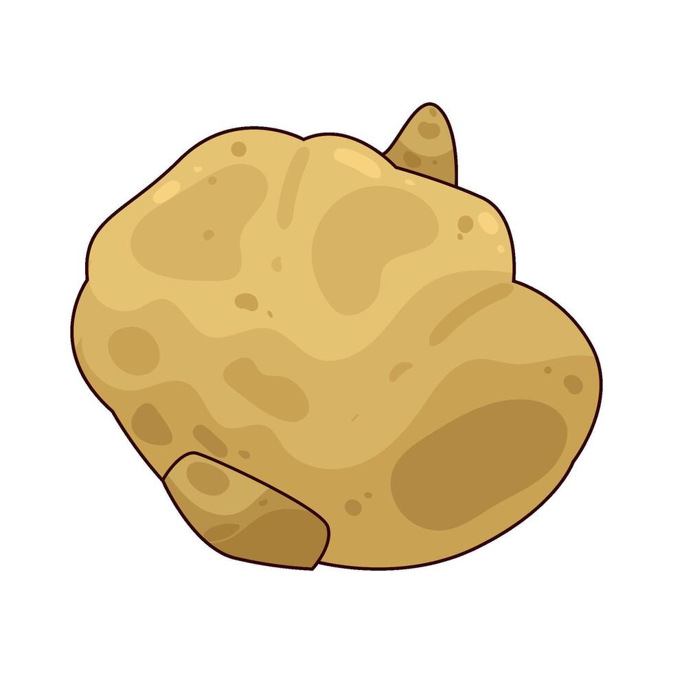 fresh jicama illustration vector