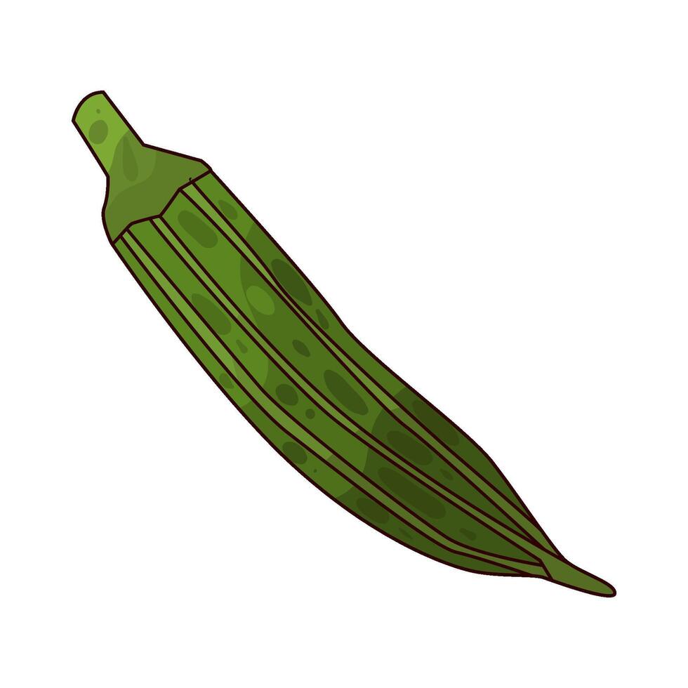 illustration of a okra vector