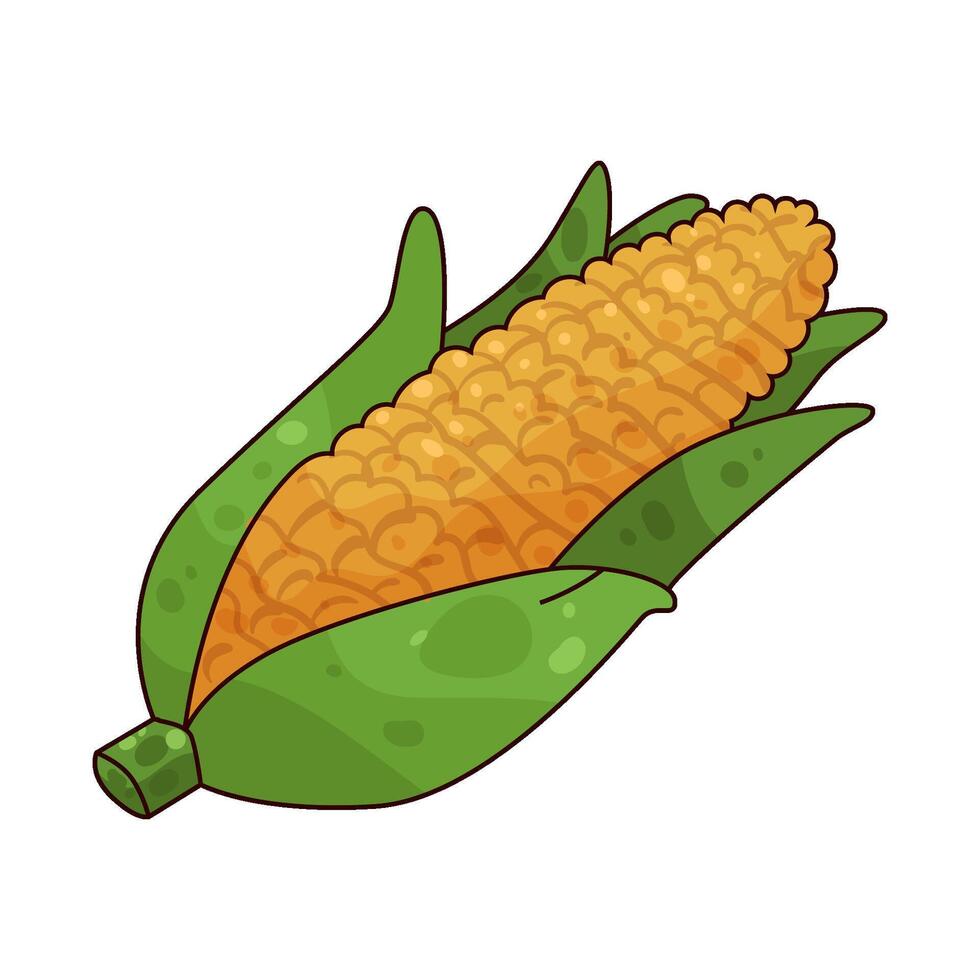 fresh corn illustration vector