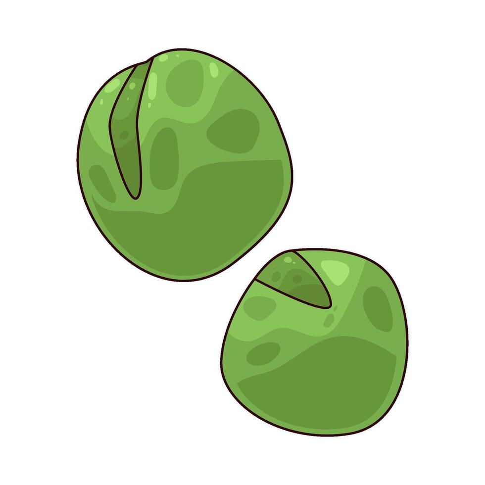 green peas illustration vector