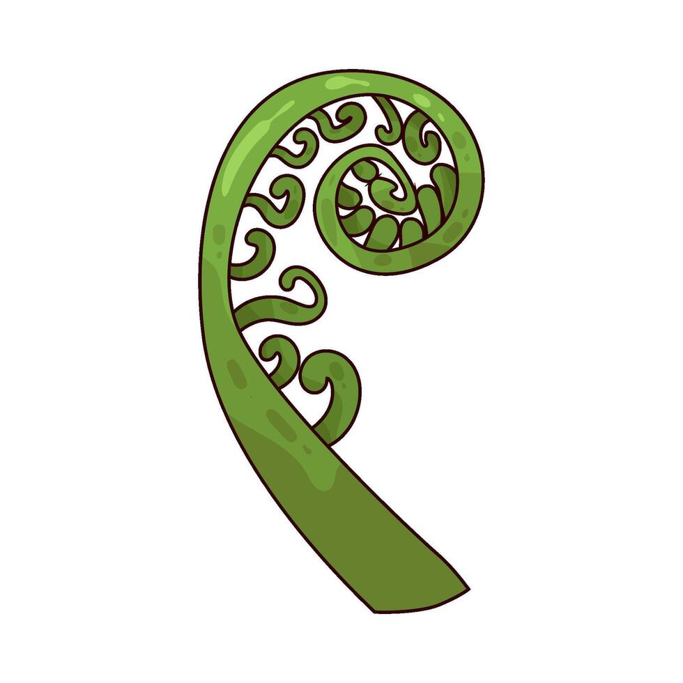 illustration of Fiddlehead vector