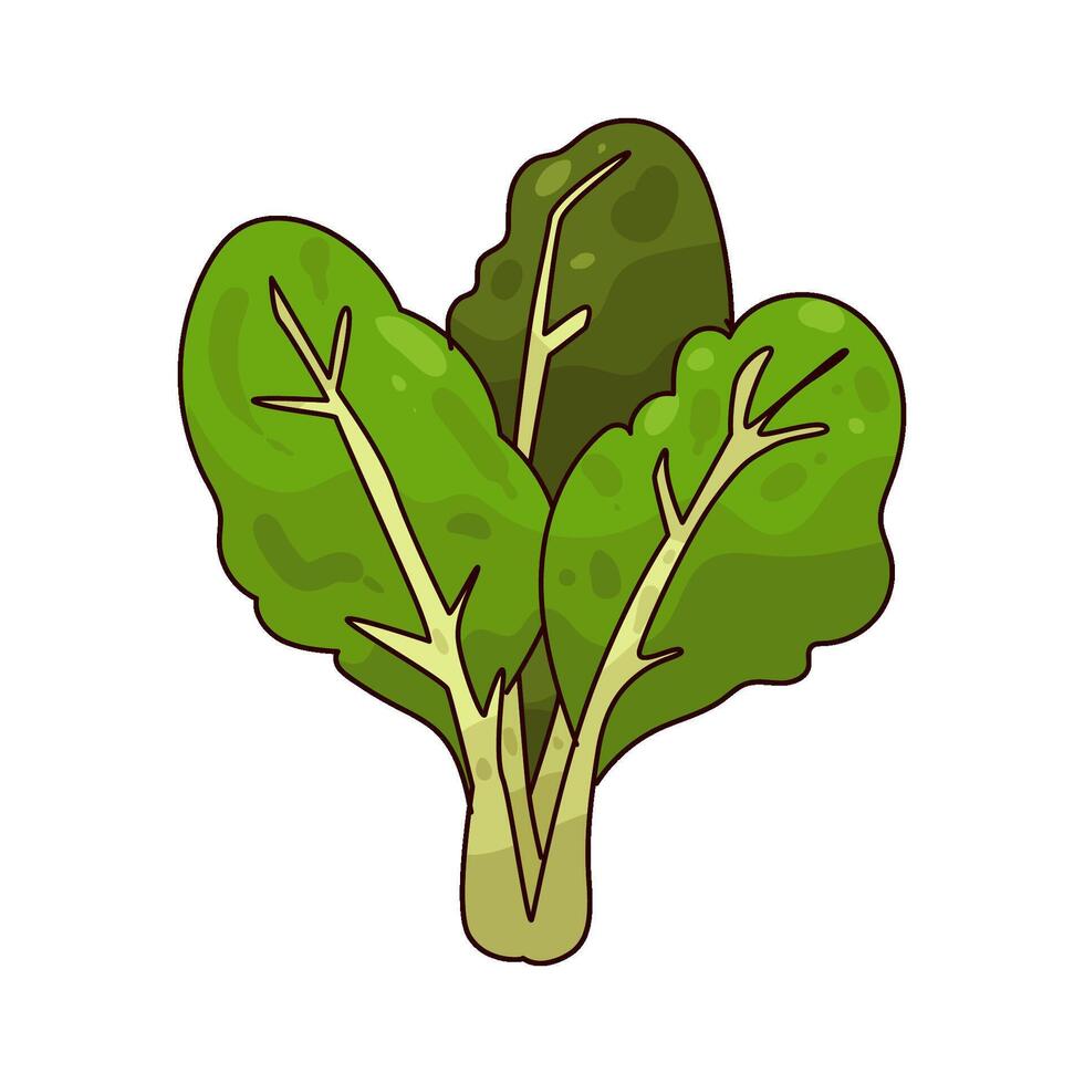 Fresh Mustard Greens illustration vector