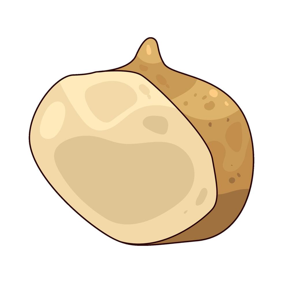 illustration of half jicama vector