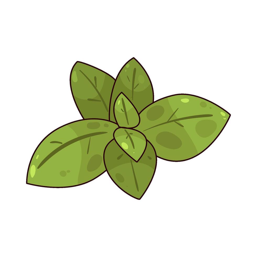 illustration of Fresh Basil vector