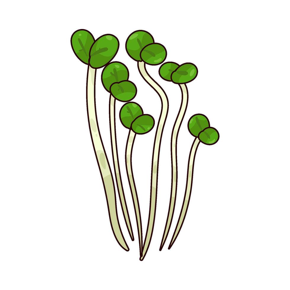 illustration of Cress vector