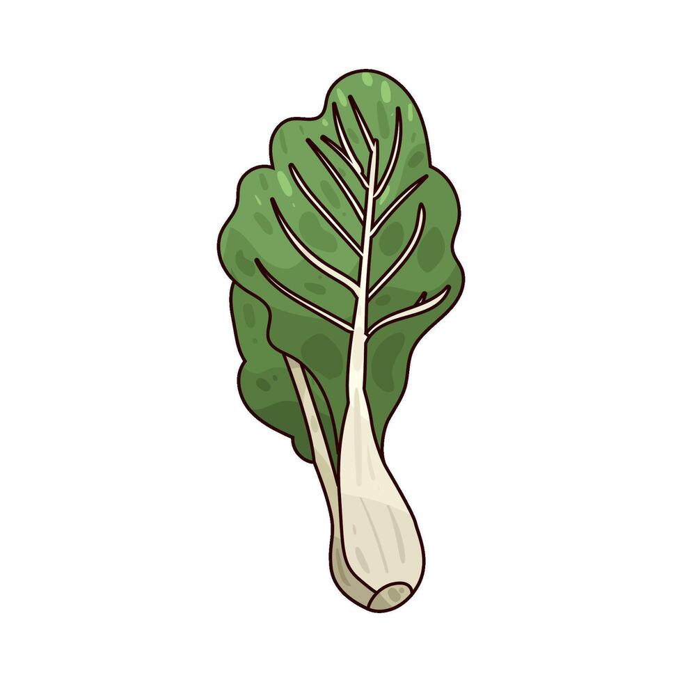 fresh mustard greens vector