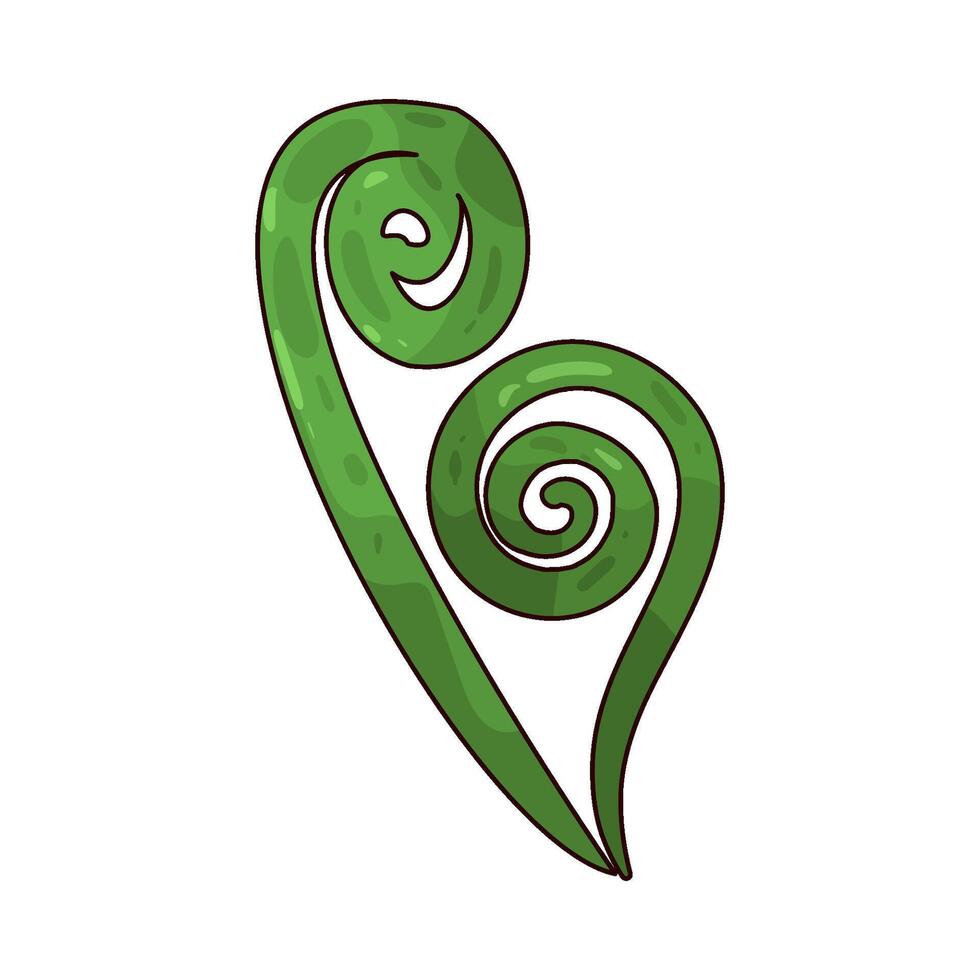 Fresh Fiddlehead illustration vector