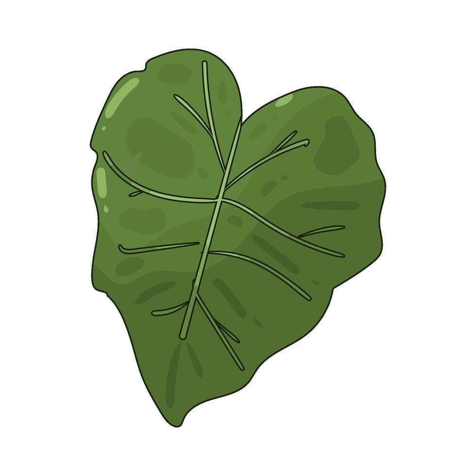 taro leaf illustration vector