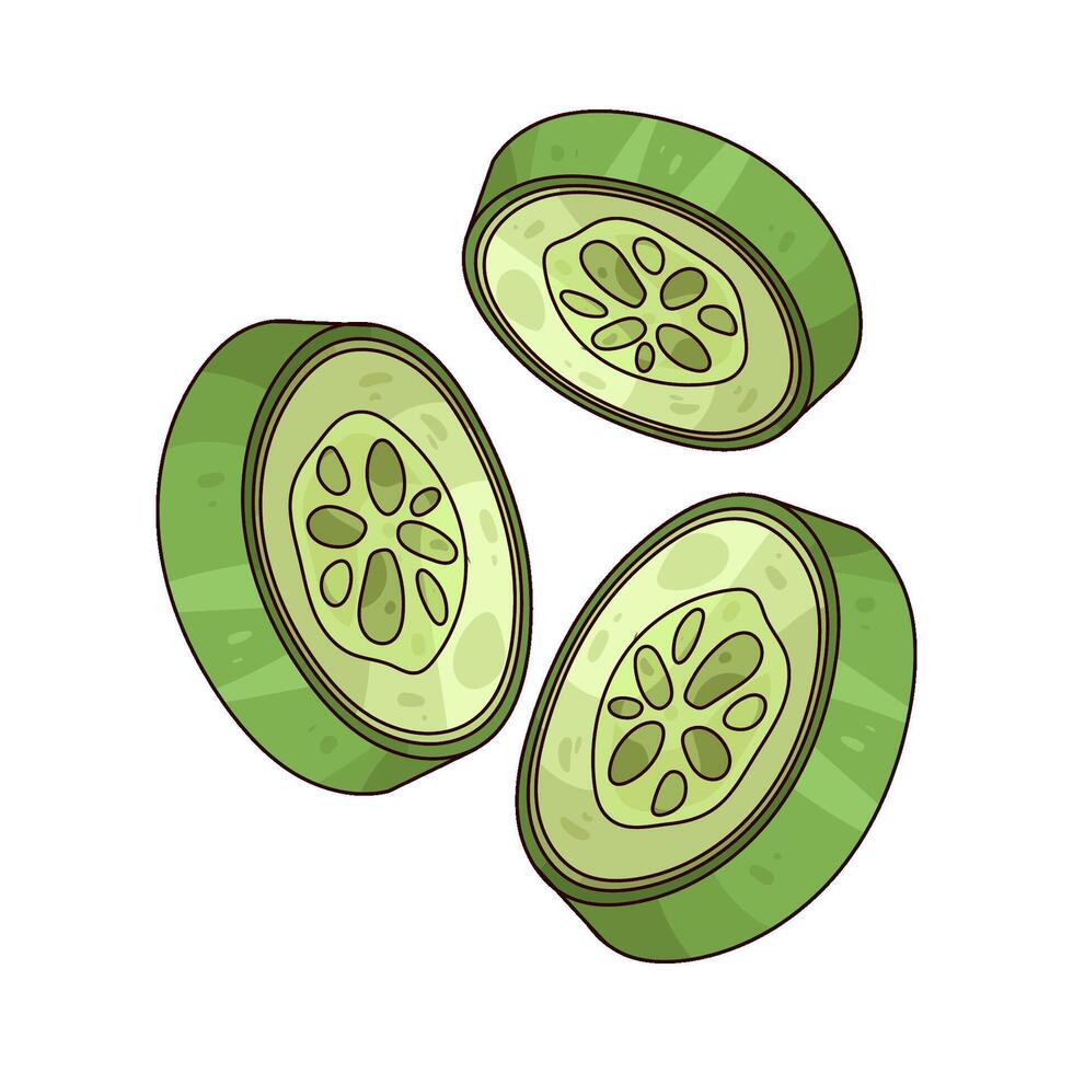 cucumber slices illustration vector