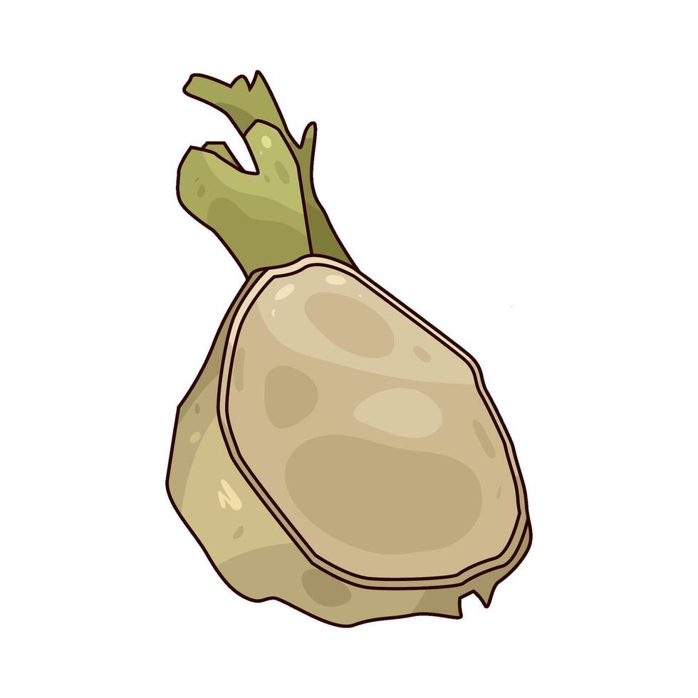 illustration of Celeriac vector