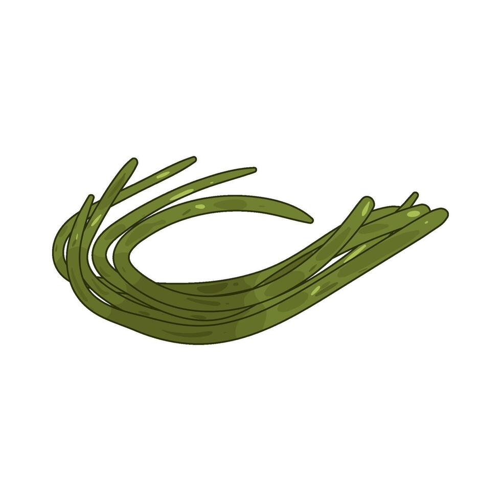 long beans illustration vector