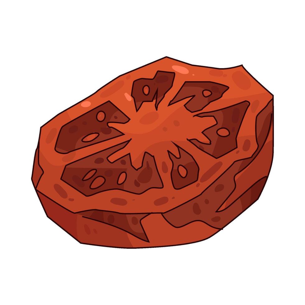 Sun dried Tomato vector