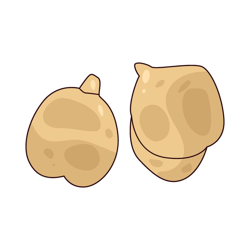 illustration of Chickpea vector