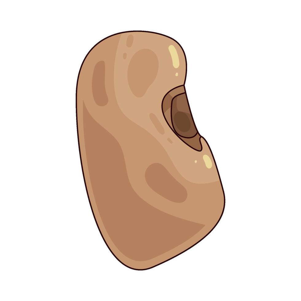 illustration of a bean vector