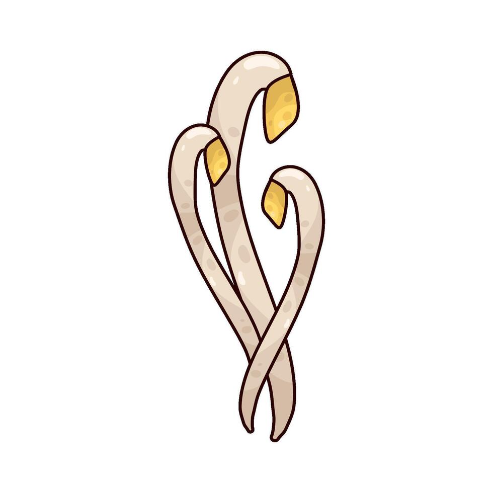 Mung Bean Sprout vector