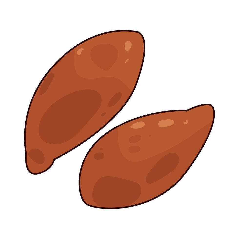 illustration of Flaxseed vector