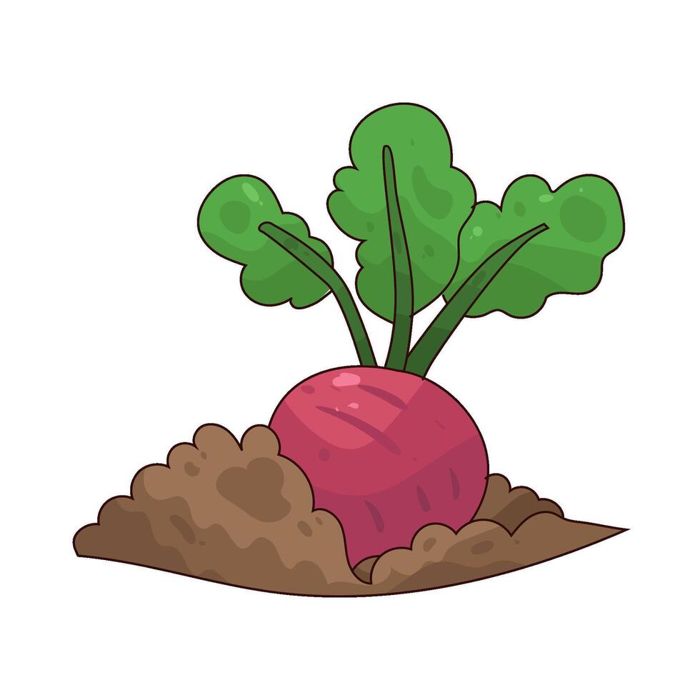 illustration of radish vector