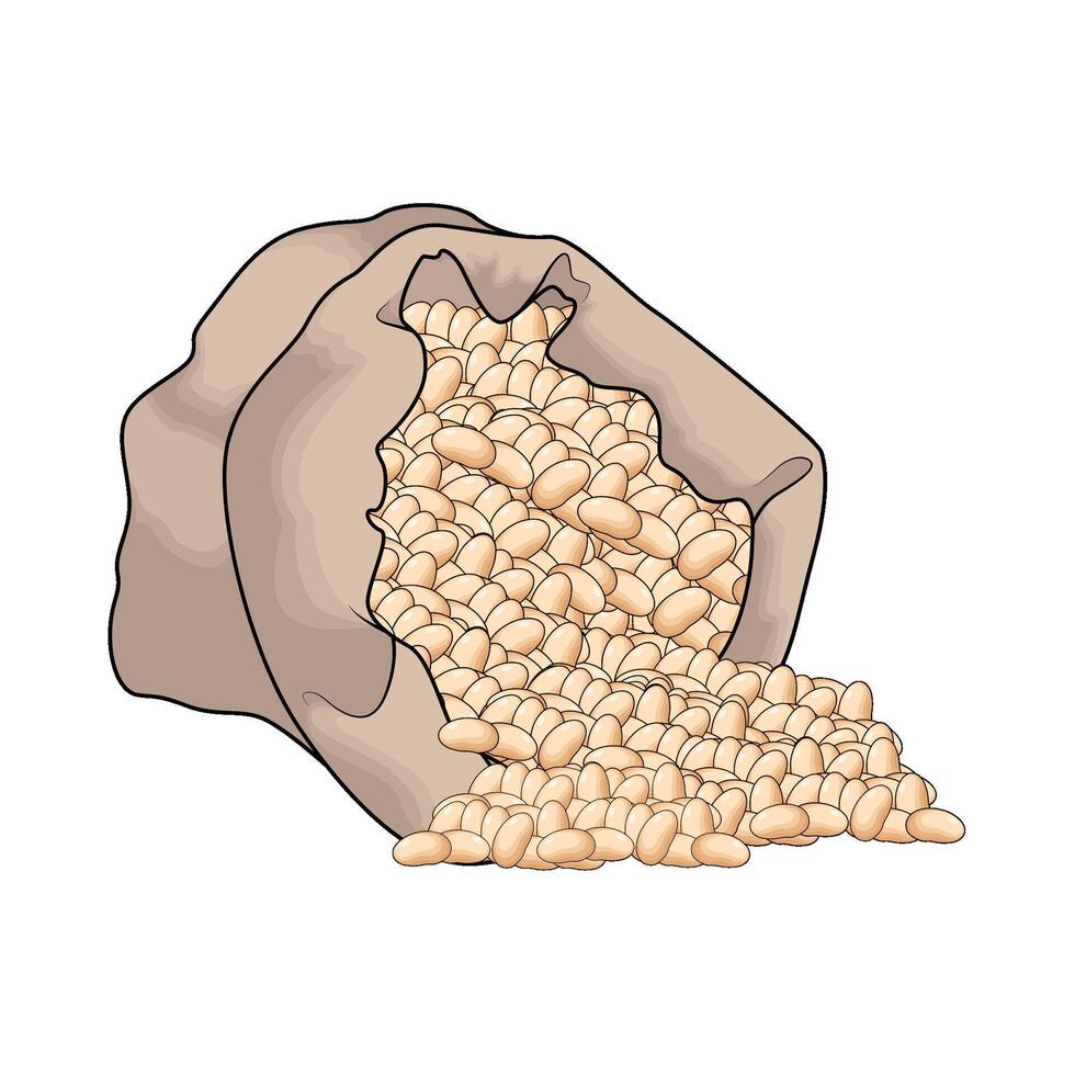 organic bean in a sack vector