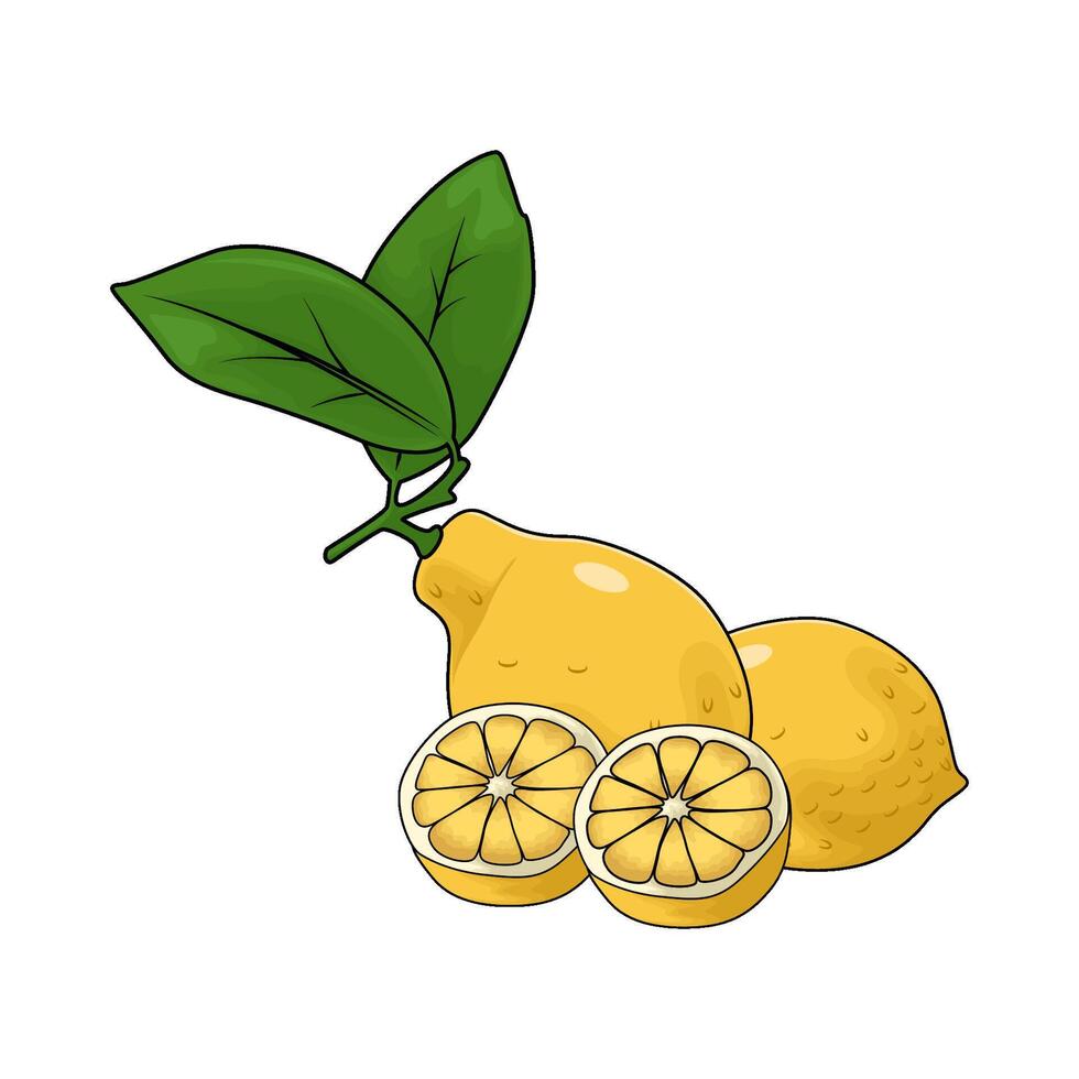 lemon with leaves vector