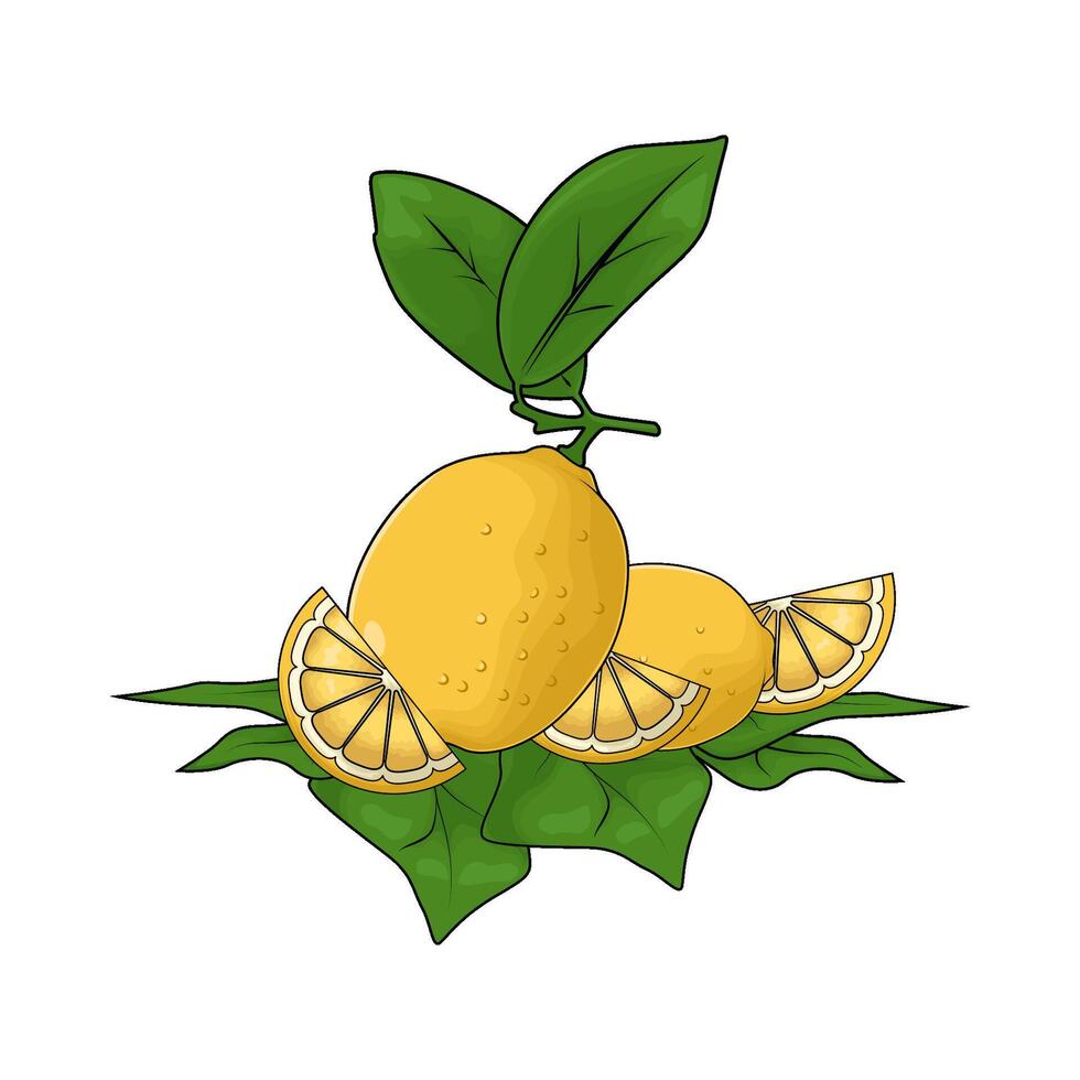 illustration of lemon with leaves vector