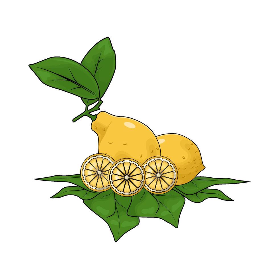 illustration of lemon with leaf vector