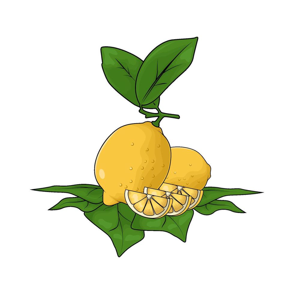 lemon with leaf vector