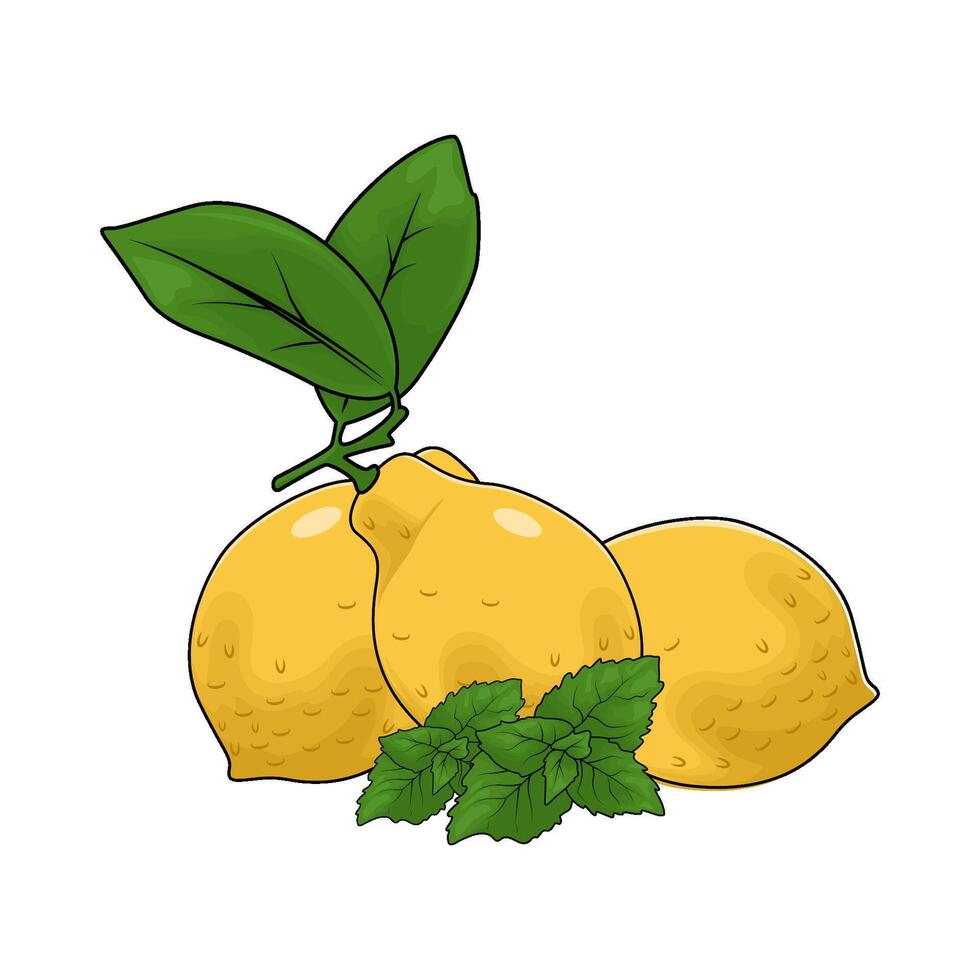 leafy lemon illustration vector