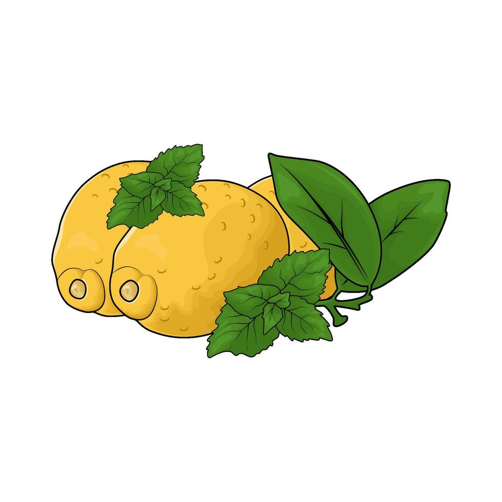 illustration of fresh lemon with leaf vector