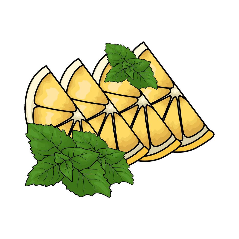 illustration of lemon slices with mint vector