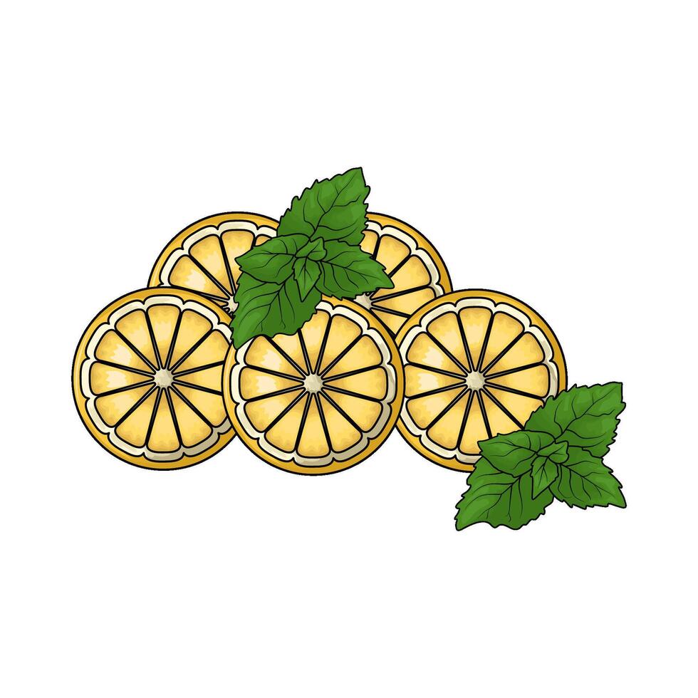 lemon slices with mint vector