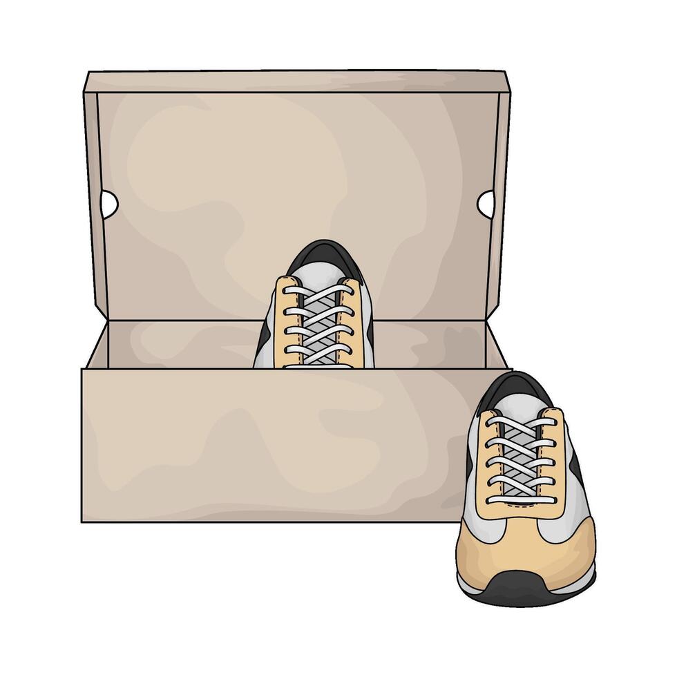 shoes in a box vector