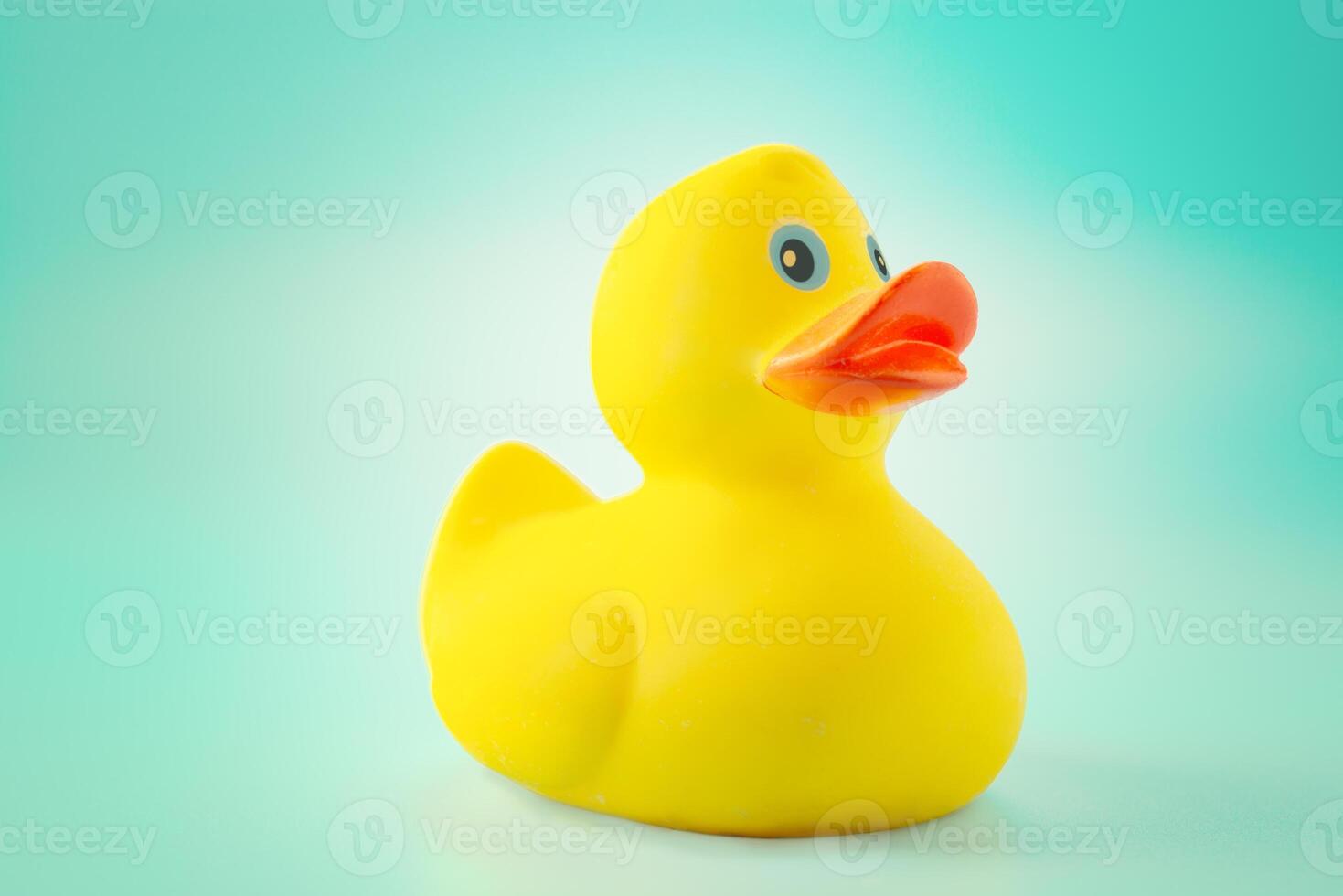 Yellow rubber duck on blue background photo