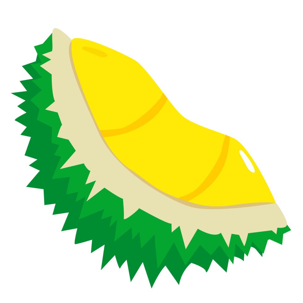 cartoon durian fruit illustration. Flat Cartoon Style png