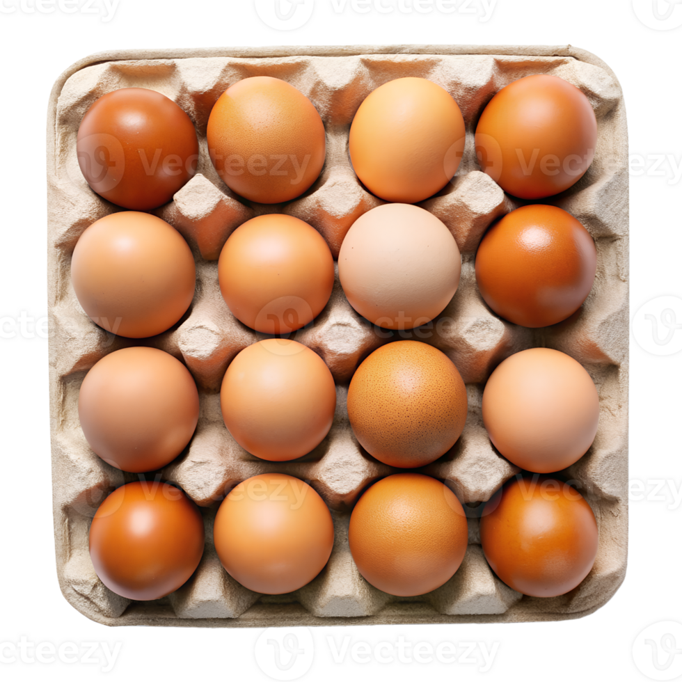eggs in carton png