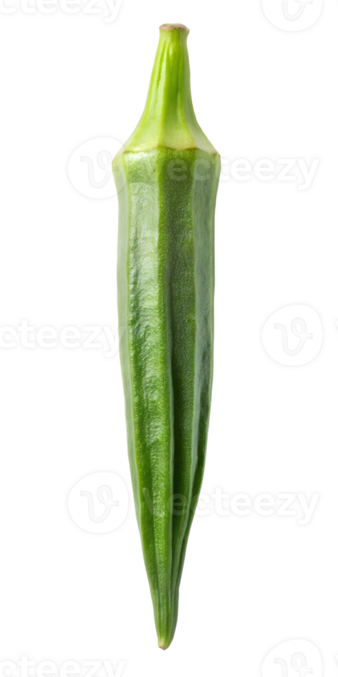 fresh green okra png