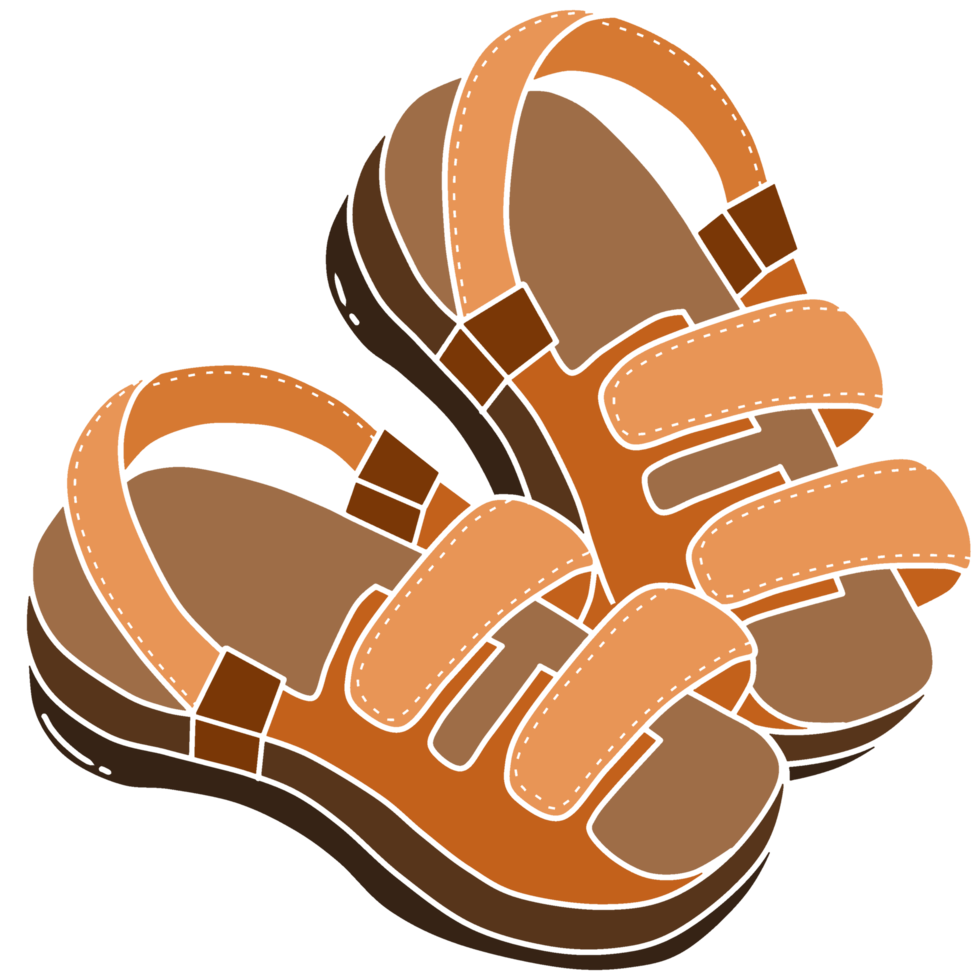 brown leather lady shoes png