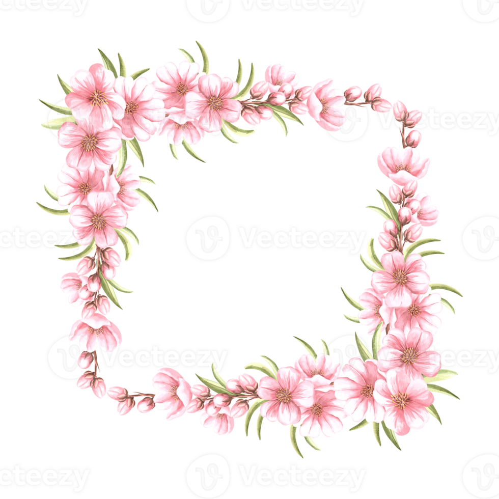 Pink flowers of almond with leaves and buds watercolot square frame isolated. Floral template with copy space from spring sakura cherry blossom. Illustration of spring blooming fruit in sketch style. png