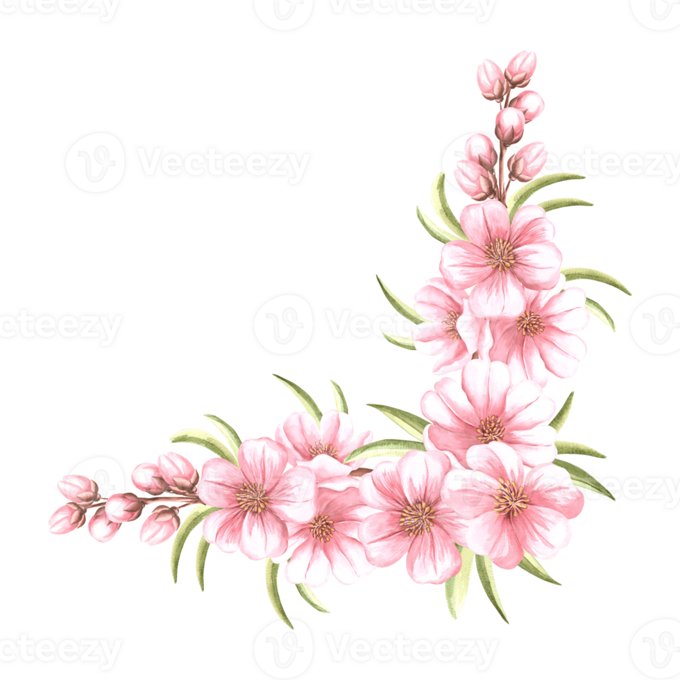 Pink flowers of almond with leaves and buds watercolot corner frame isolated. Floral template with copy space from spring sakura, cherry blossom. Illustration of spring blooming fruit in sketch style. png