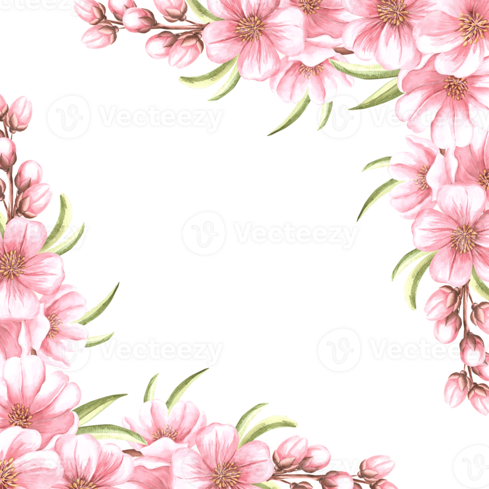 Pink flowers of almond with leaves and buds watercolot square frame isolated. Floral template with copy space from spring sakura, cherry blossom. Illustration of spring blooming fruit in sketch png