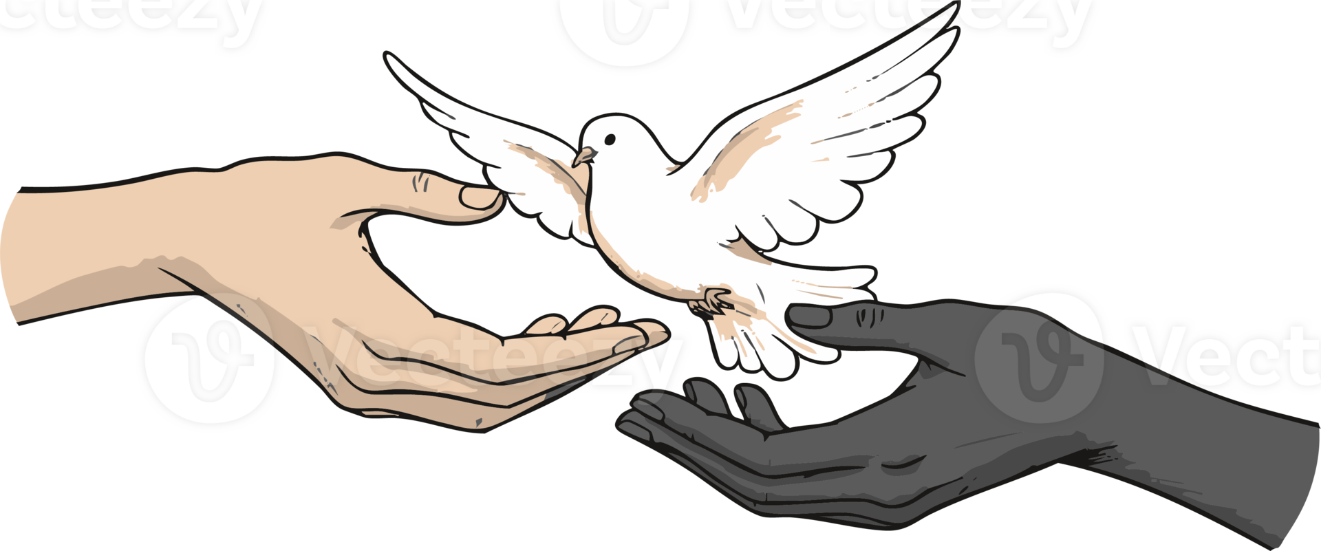 Dove Flying Between Two Hands with Different Skin Tones png