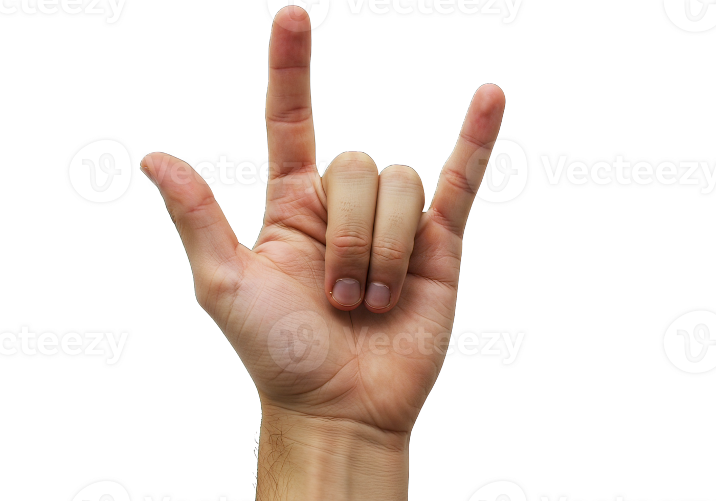 Hand Gesture Rock and Roll Sign for Graphic Use png