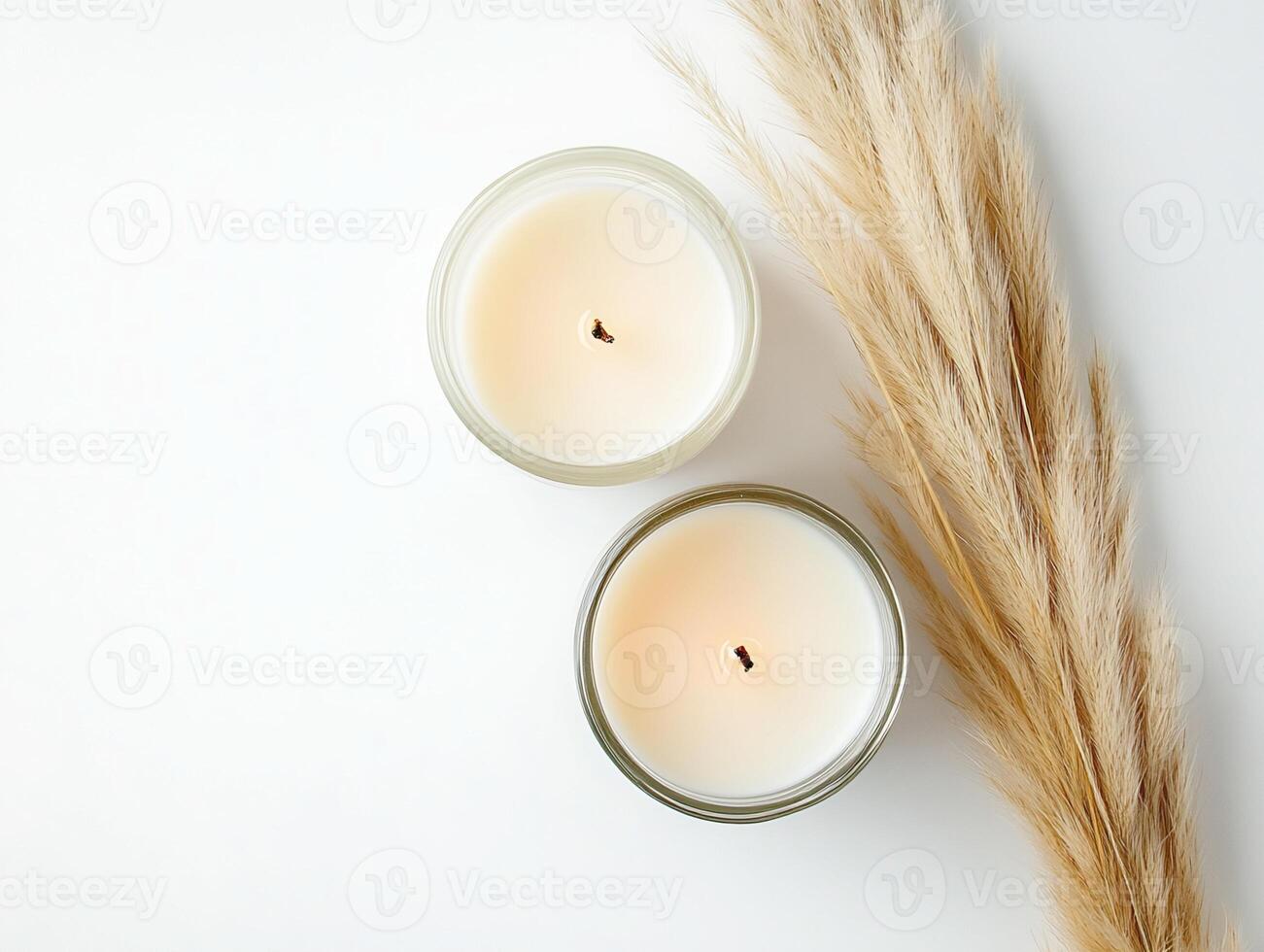 Two Ivory Candles and Pampas Grass on White Background photo