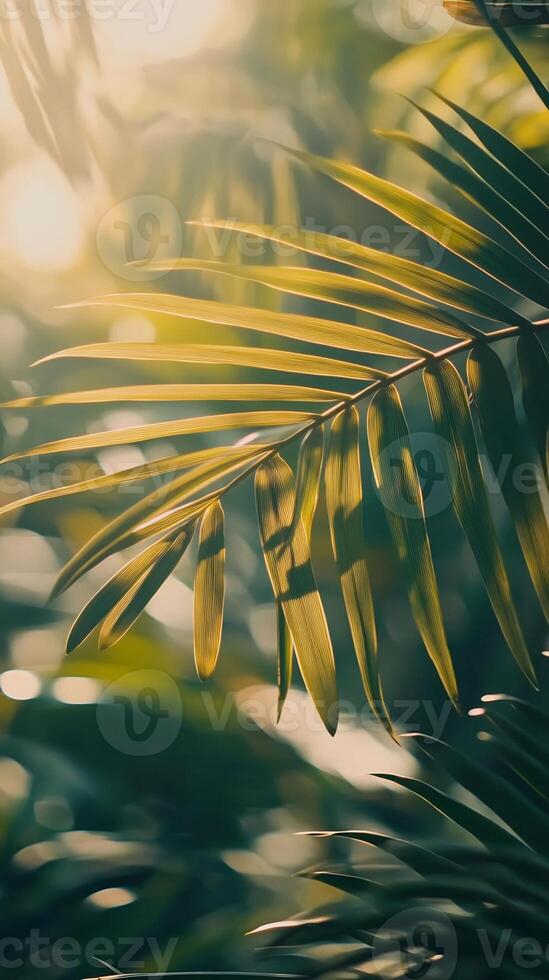 Palm Frond in Sunlight Detailed Close-up photo