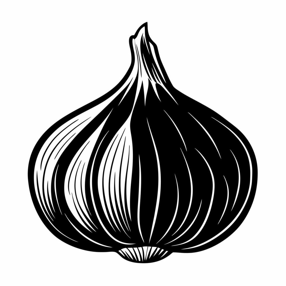 Vintage Black and White Garlic Illustration Simple Line Art Drawing for Culinary Design vector