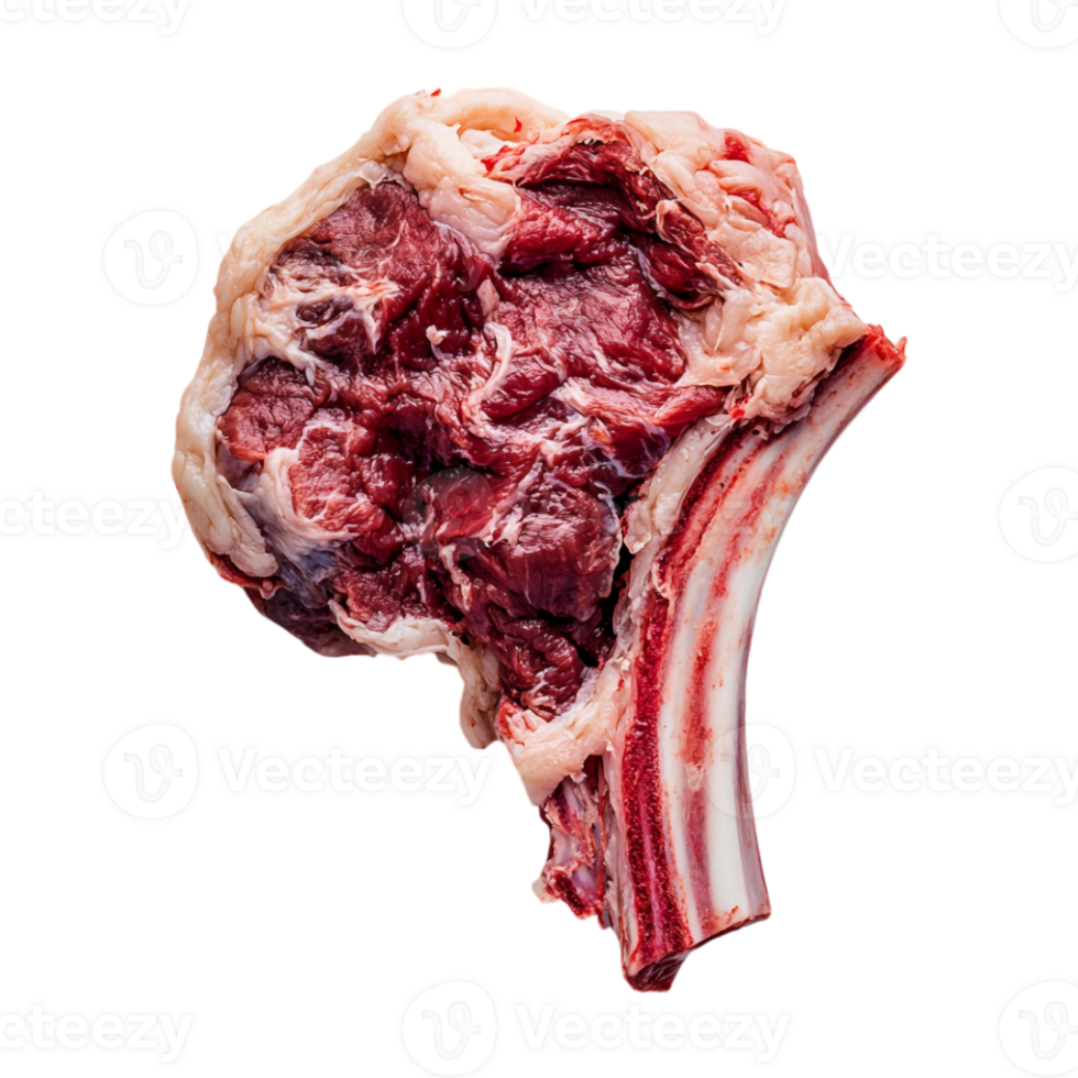 a raw meat bone on a transparent background png
