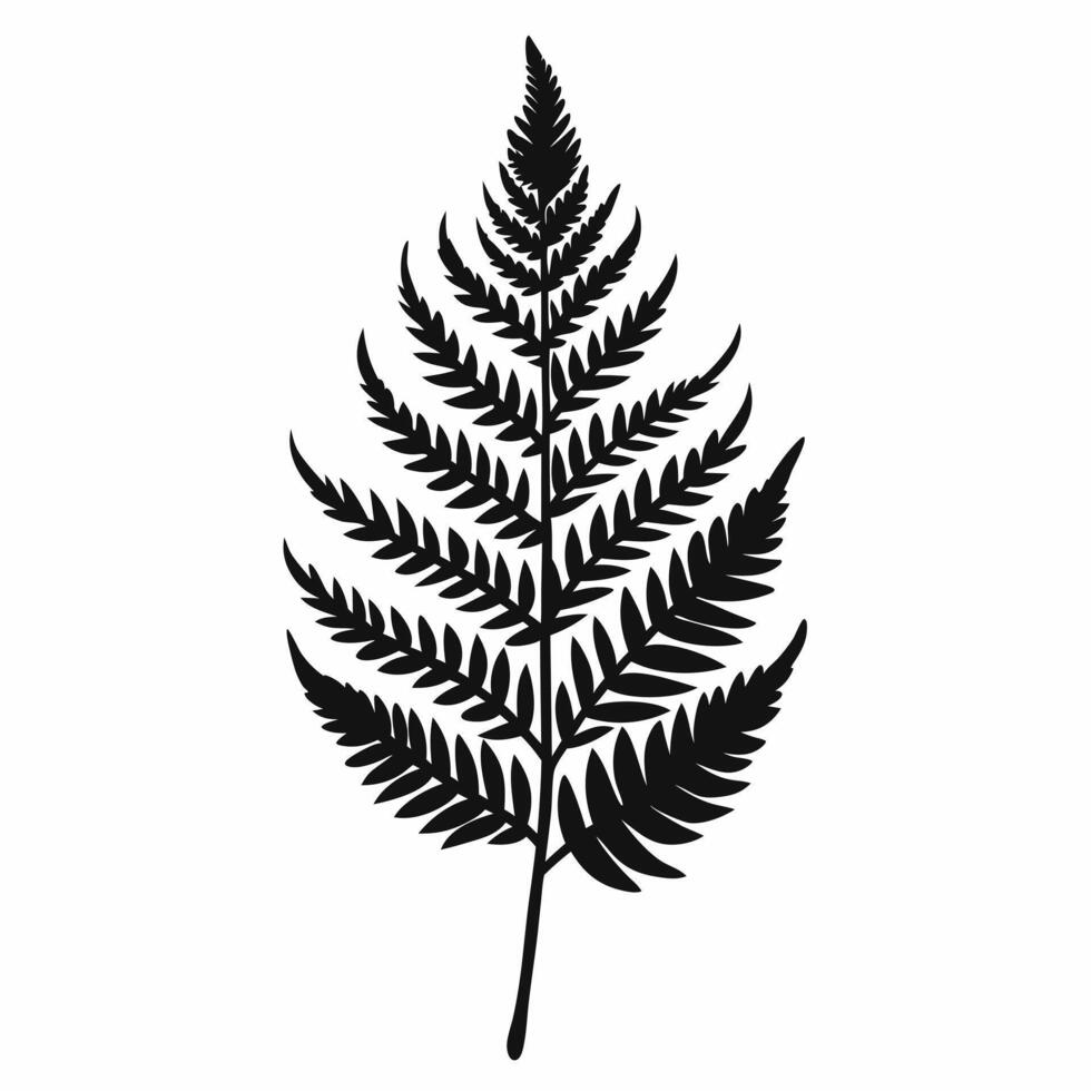 Black Silhouette of a Fern Leaf on White Background Simple Botanical Illustration vector