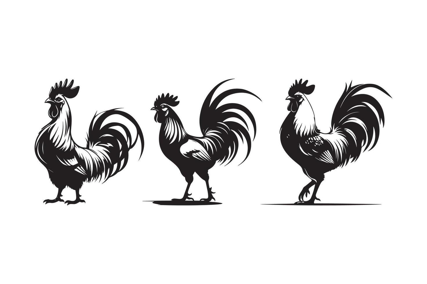 Rooster Silhouettes Art Set Farm Chicken Crowing Illustrations vector