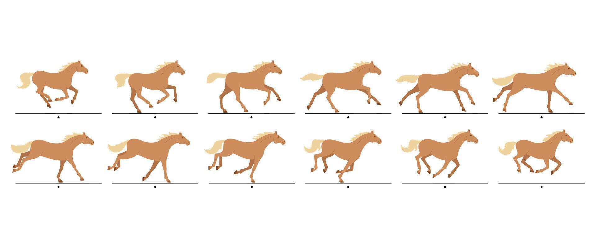 Cartoon running horse animation frames. Galloping, horses gait movement cycle sequence, animated canter. Racehorse running isolated illustration set vector