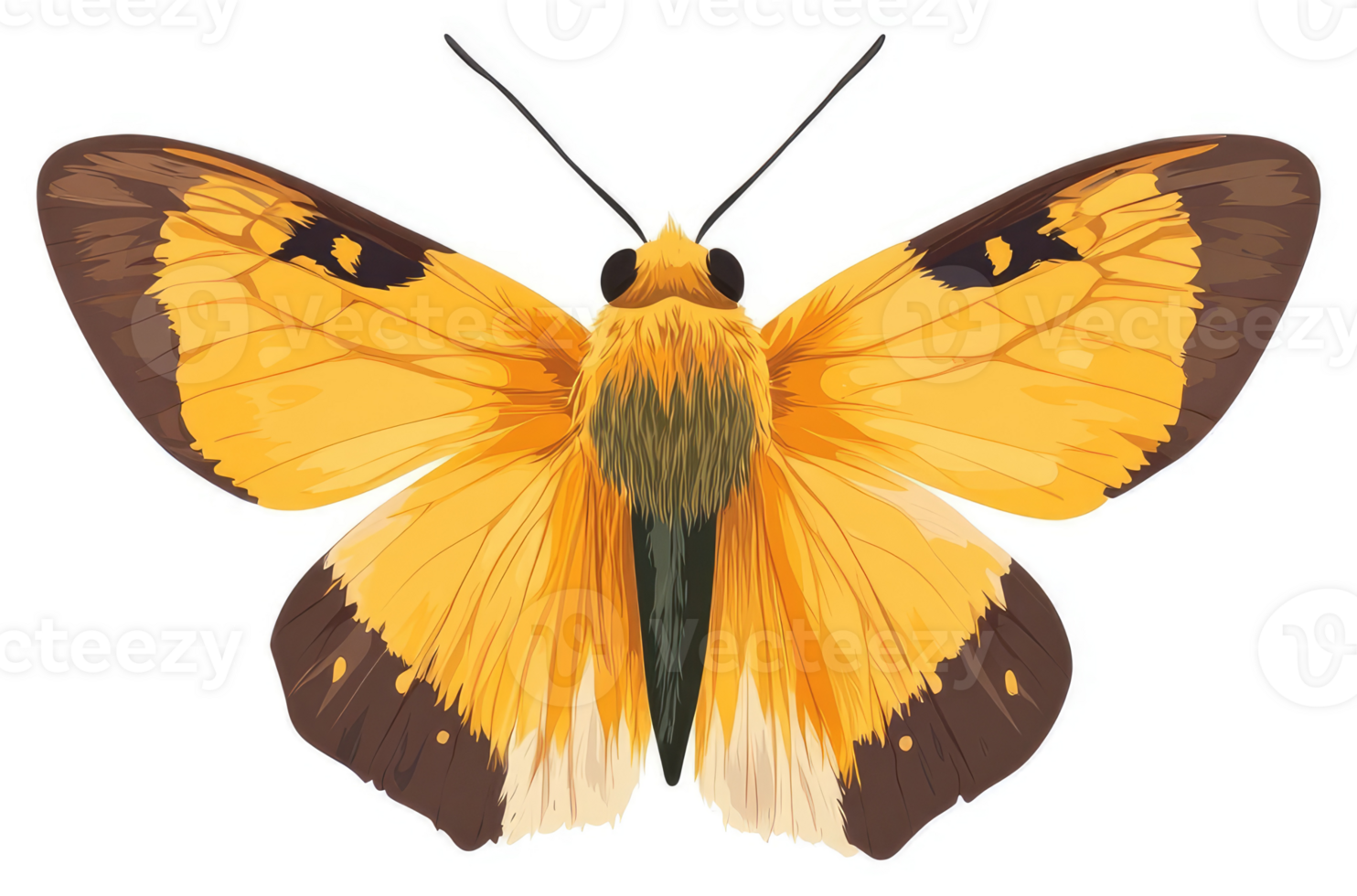 A vibrant yellow and brown butterfly with intricate wing patterns. png